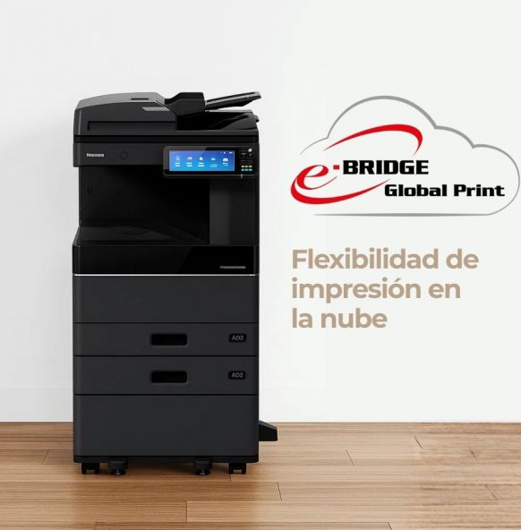 ebridge_global_print