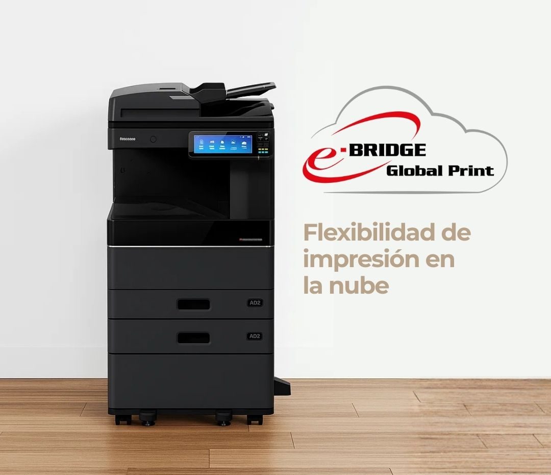 ebridge_global_print